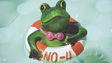 Imagen de una rana metida en un flotador con gafas de natación en la cabeza