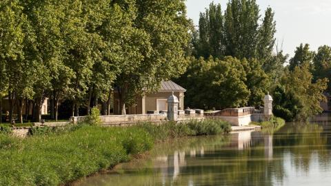 Aranjuez. Jardín del Príncipe.