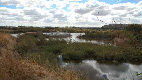 Humedales_Lagunas de Velilla_Velilla de San Antonio