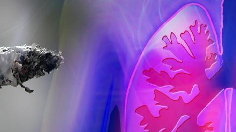 cigarrillo y pulmones