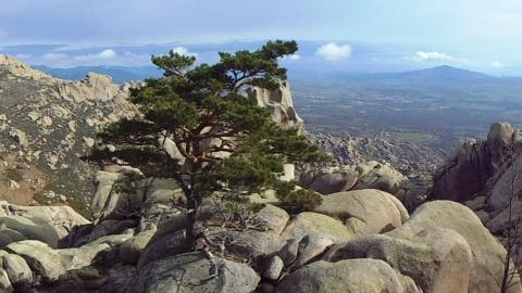 La Pedriza. Pradera de los Murciélagos