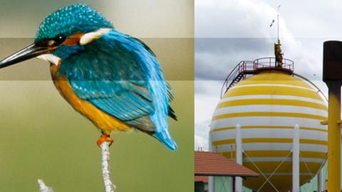 Información Ambiental