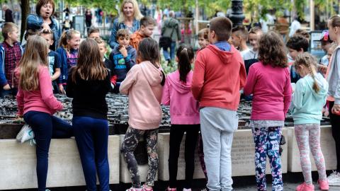 Regulación de la Convivencia escolar