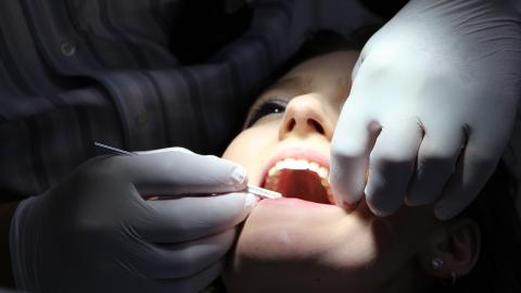 dentista