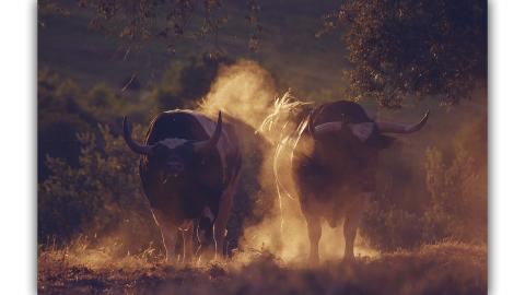 Fotografía de Carlos Canalo