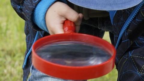 Niño con lupa en huerto