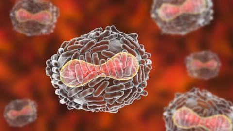 Celula contagiada por un virus
