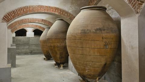 Bodega de la Quinta de Torre Arias Bodega Torre arias