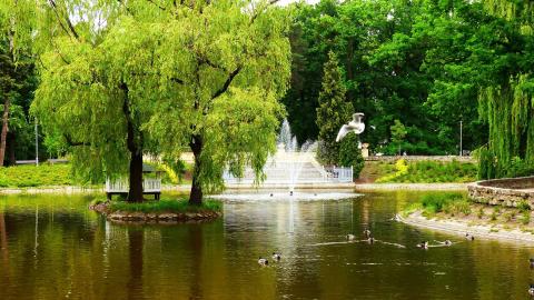 parque con fuente
