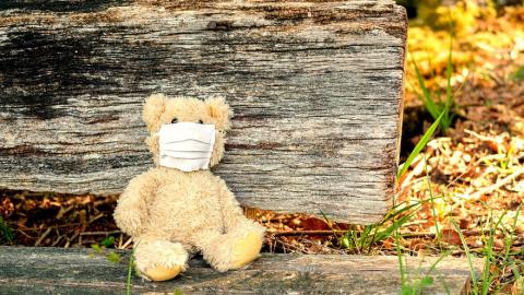 osito con mascarilla sentado en un bosque osito peluche con mascarilla sentado en un banco en la naturaleza
