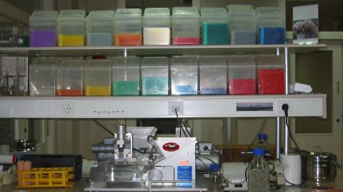 Contenido experimentos 