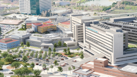 Complejo de edificios hospitalarios