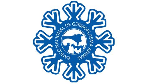 Logotipo en color banco y azul del Banco Nacional de Germoplasma Animal