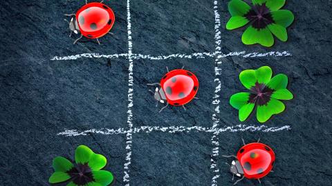 Tres en raya con mariquitas rojas brillantes y tréboles de cuatro hojas sobre un fondo de pizarra oscura