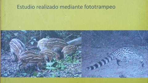 Los carnívoros terrestres en el Parque Regional