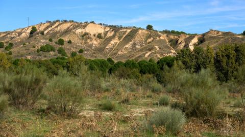 Parque Regional del Curso Medio del río Guadarrama y su entorno