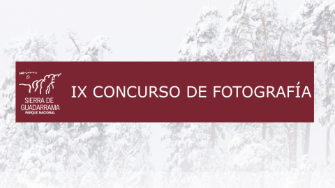 Foto cartel concurso