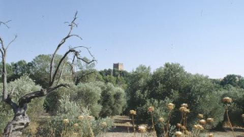 Castillo y huerta Batres
