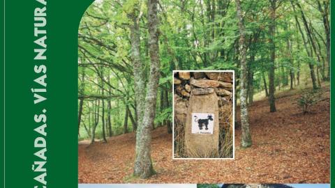 Descubre tus cañadas