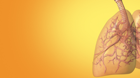 ilustración de los pulmones sobre fondo amarillo