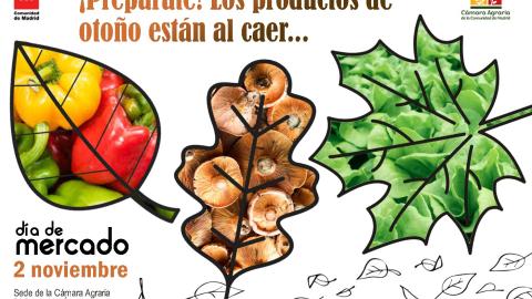 Foto convocatoria