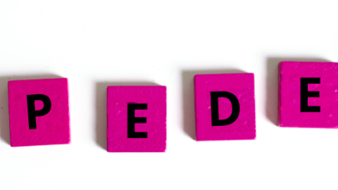 Piezas de color fucsia con letras que forman en hilera la palabra lipedema