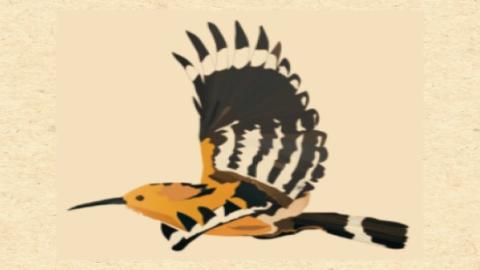 la abubilla