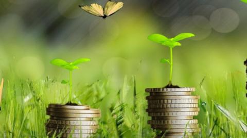 mrc_ley_de_economia_circular