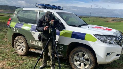 Agente forestal y prismático