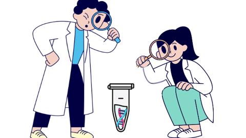 Taller de ADN