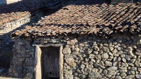 Imagen decorativa