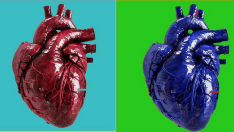 Cuatro corazones de distintos colores