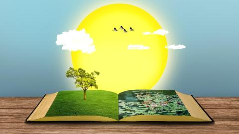 Libro abierto con un árbol vertical, sol y nubes al fondo