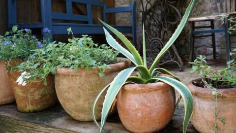 la jardineria
