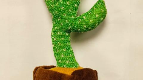 cactus_juguete_imagen