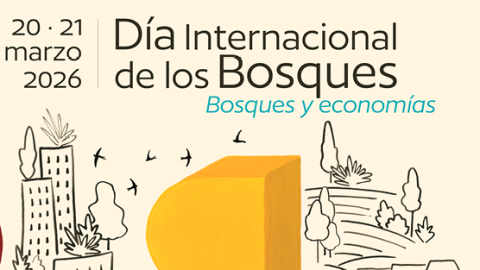 Cartel del Día Internacional de los Bosques 2026