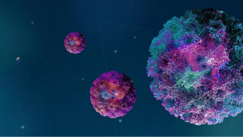 Virus del papiloma humano ilustración en colores morados