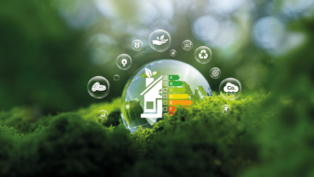 Imagen de ecohogar