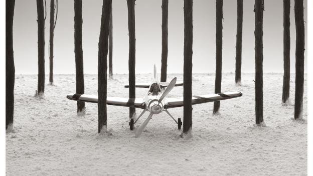 Avión de juguete entre árboles