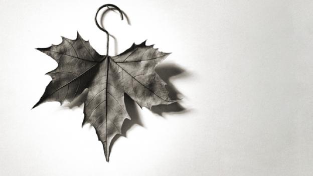 CHEMA MADOZ 2023