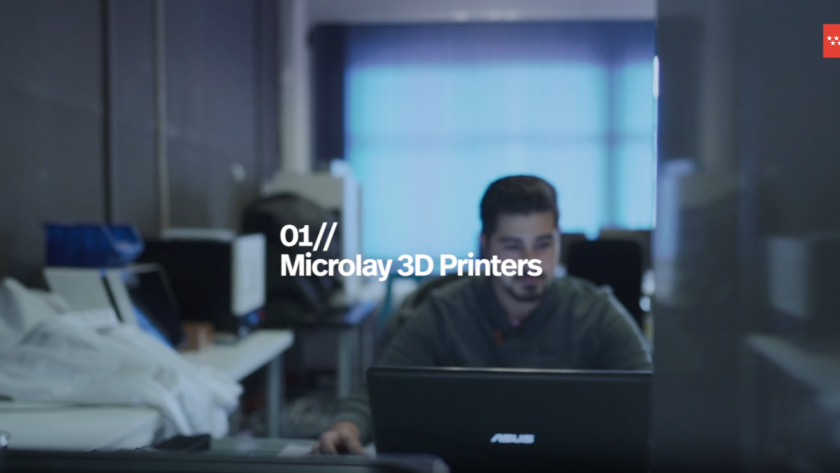 Impresora 3d microlay