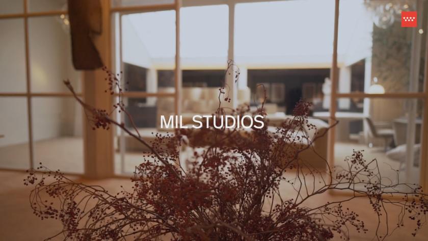 Arreglo de ramas secas sobre fondo desenfocado