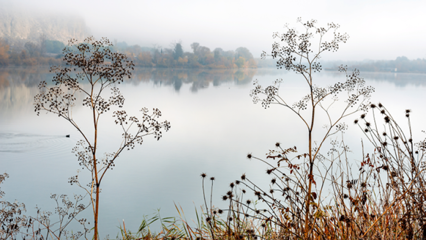 Imagen de la Laguna del Campillo