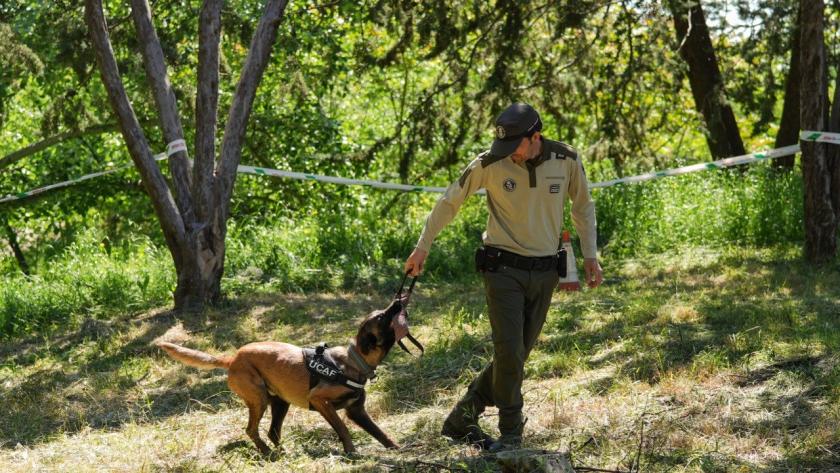 La Comunidad de Madrid inicia una campaña de  vigilancia para la detección de cebos envenenados  en el medio natural y en terrenos cinegéticos  