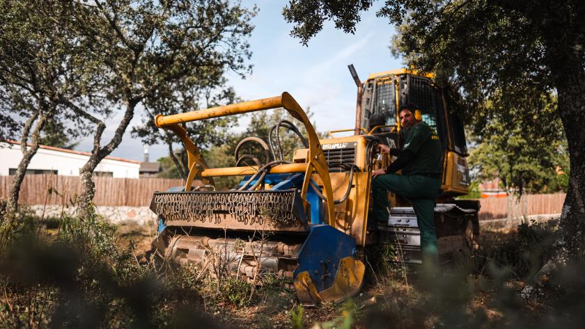 Labores de desbroce para prevenir incendios forestales
