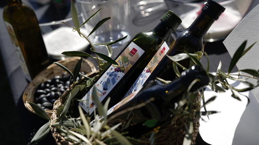 Botellas de aceites entre olivos