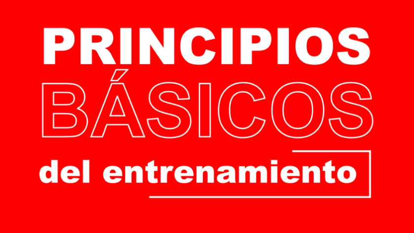 Principios básicos del entrenamiento