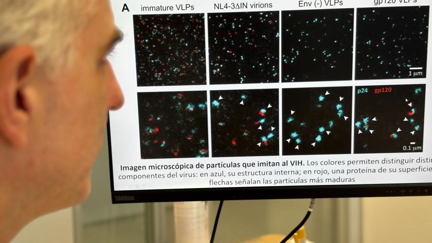 Investigador observando en la pantalla el comportamiento de partículas similares al VIH Investigador observando imágenes de círculos de colores y flechas
