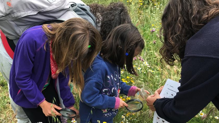La Comunidad de Madrid organiza campamentos  infantiles gratuitos en Arroyomolinos