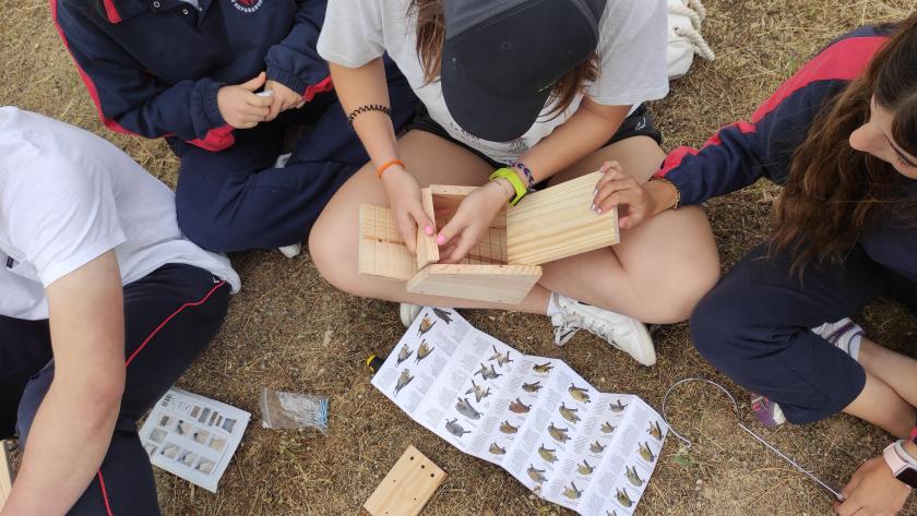 La Comunidad de Madrid organiza campamentos  infantiles gratuitos en Arroyomolinos